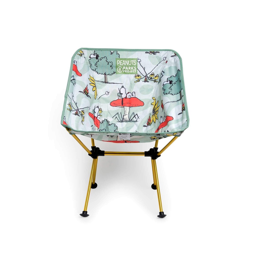 Parks Project Peanuts Snoopy Camping Chair Portable Lightweight Folding Green